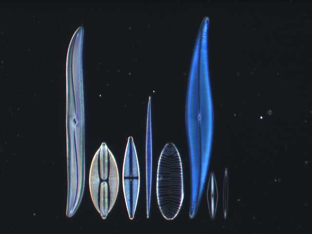 Dark Field 黑场缩略图