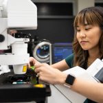 显微镜 - 成像 - 科学家 -  Michelle-Itano-opt